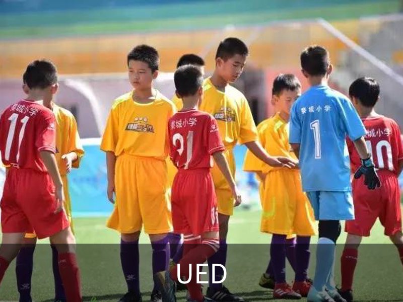 UED·(国际) - 体育官网